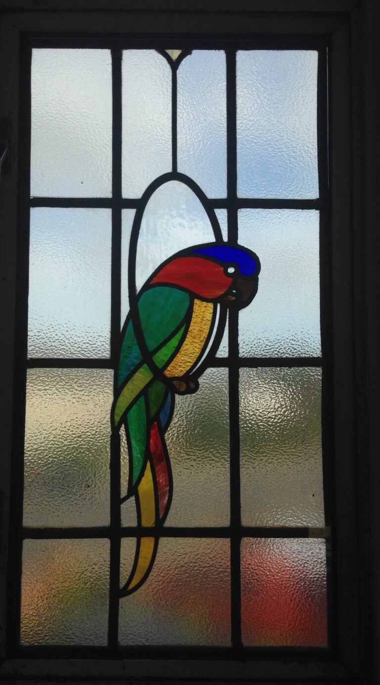 A tall leaded window with a green, yellow, red and blue parrot in coloured glass inside an oval, set in clear textured glass.